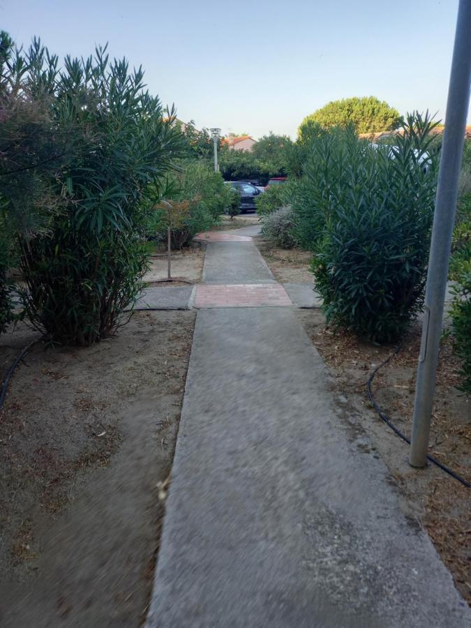 Appartement SAINT CYPRIEN Plage Résidence Les Mas de la Mer Exterior foto
